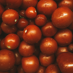 Juliette Tomato