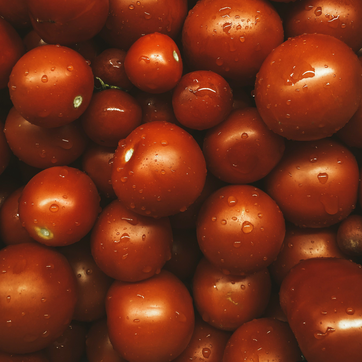 Juliette Tomato